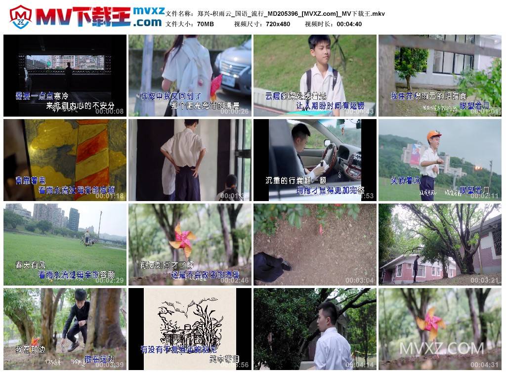 郑兴-积雨云_国语_流行_MD205396